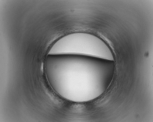 X0000090770067200707201123