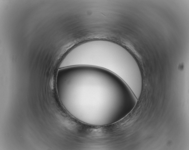 X0000090770068200707201123