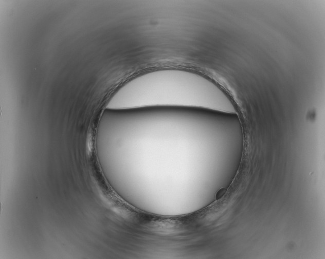 X0000090770069200707201123