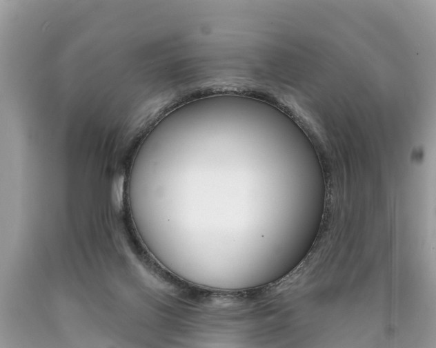 X0000090770070200707201123