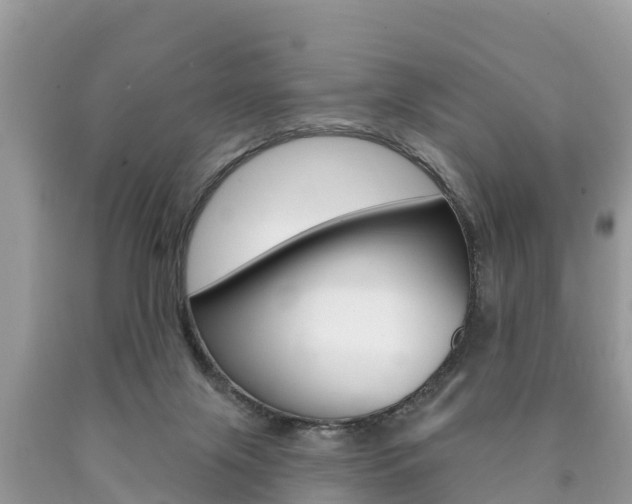 X0000090770071200707201123