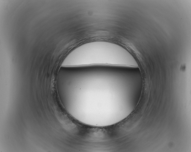 X0000090770073200707201123