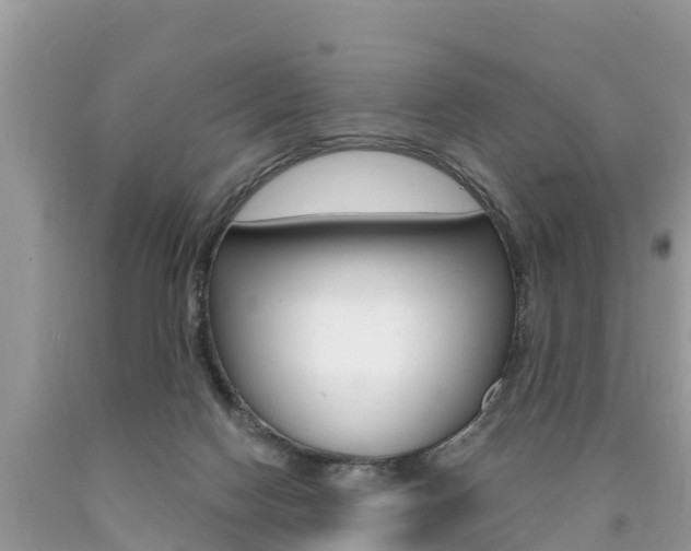 X0000090770074200707201123