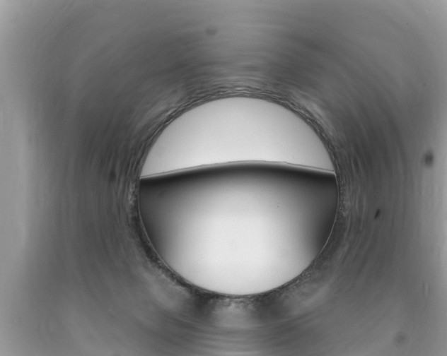 X0000090770077200707201123