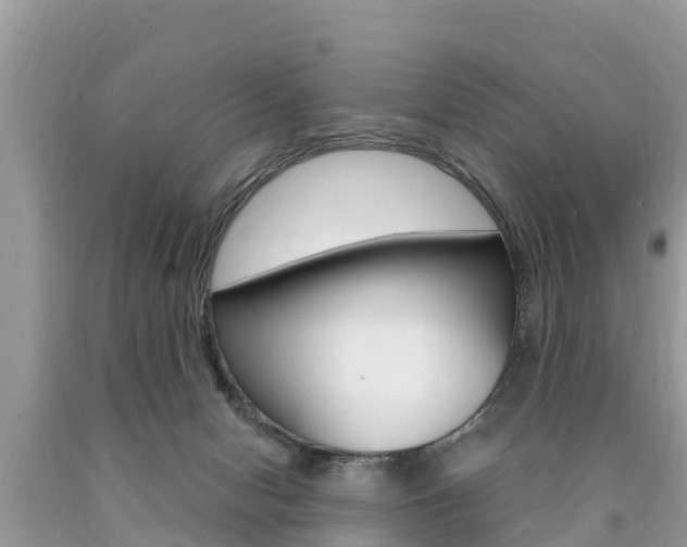 X0000090770078200707201123