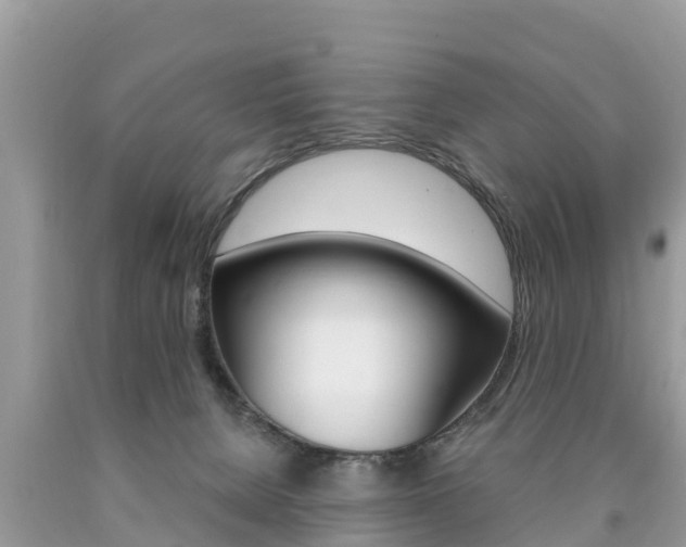 X0000090770080200707201123