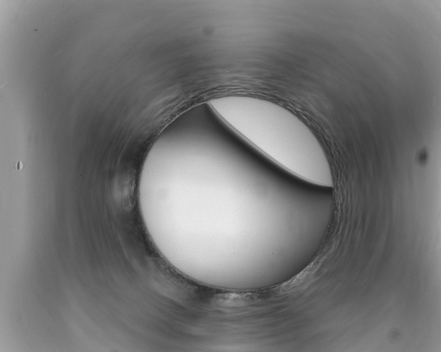 X0000090770082200707201123