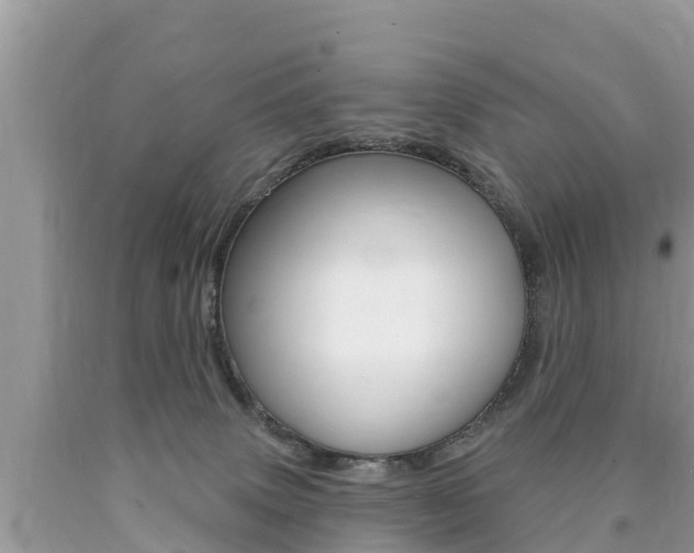 X0000090770083200707201123