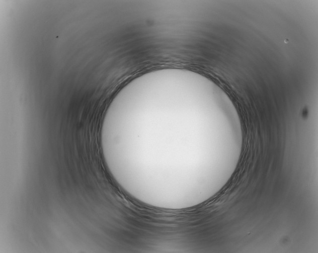 X0000090770084200707201123