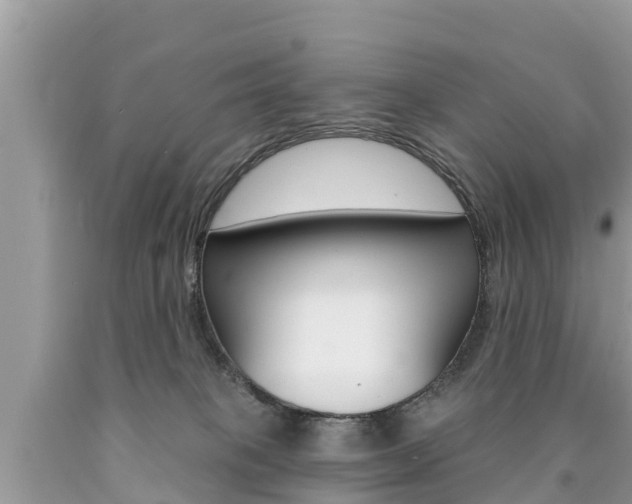 X0000090770085200707201123