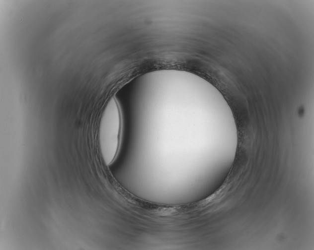 X0000090770086200707201123