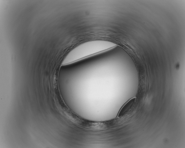 X0000090770087200707201123