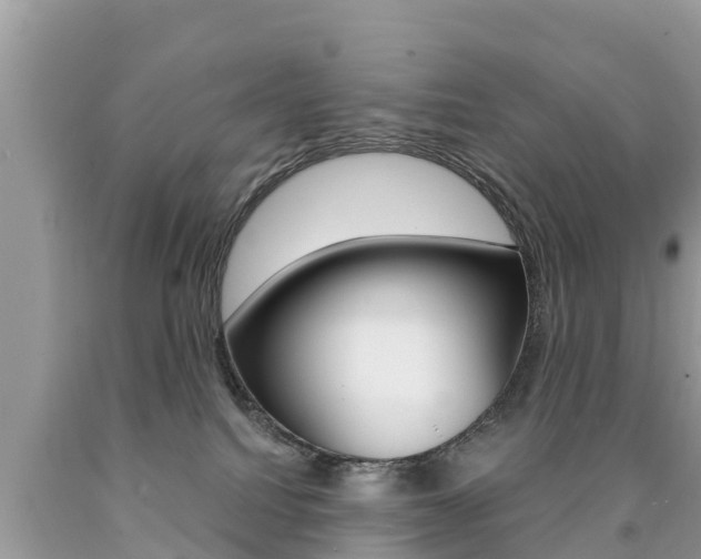X0000090770088200707201123