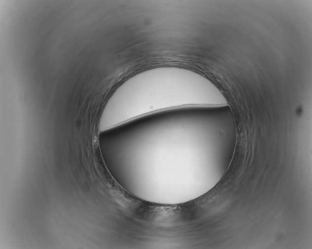 X0000090770089200707201123