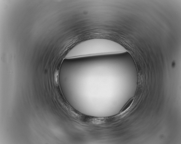 X0000090770094200707201123