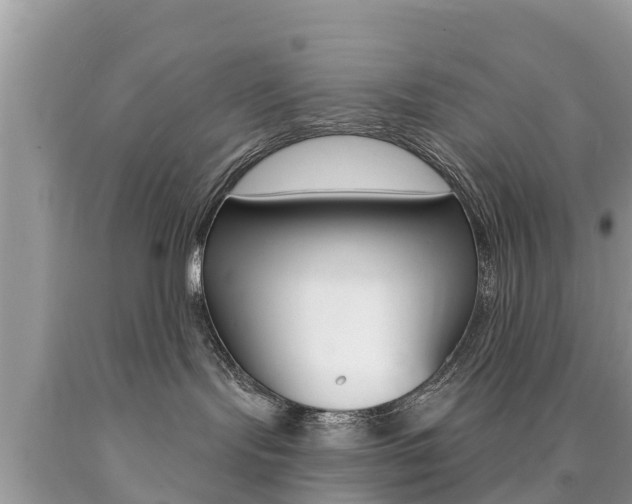 X0000090770095200707201123