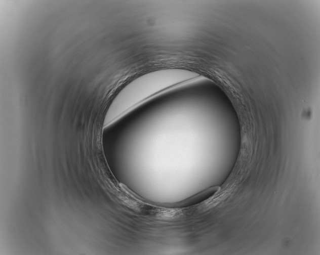X0000090770096200707201123