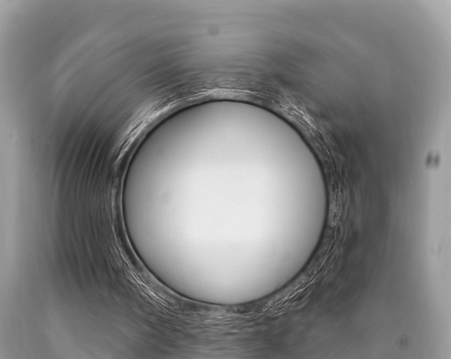 X0000090770098200707201122