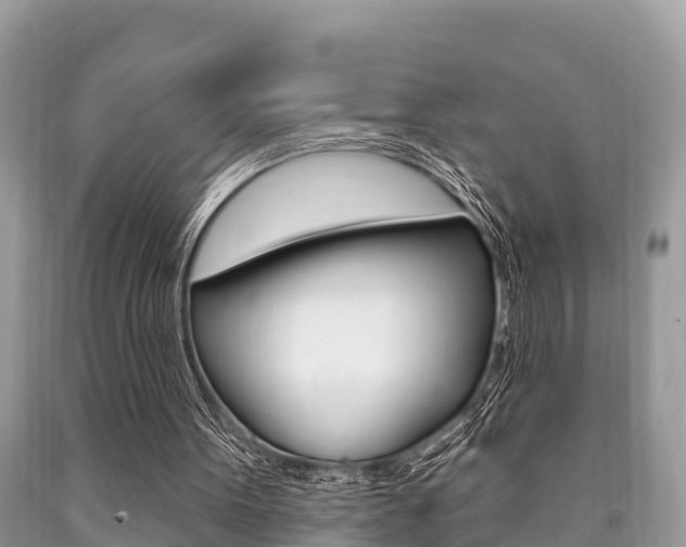 X0000090770099200707201122