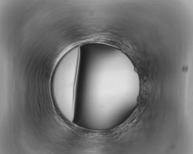 X0000090770100200707201122