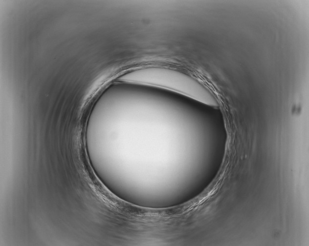 X0000090770101200707201122
