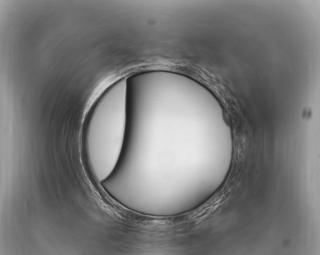 X0000090770102200707201122