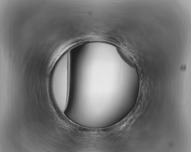 X0000090770103200707201122
