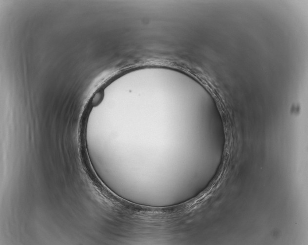 X0000090770104200707201122