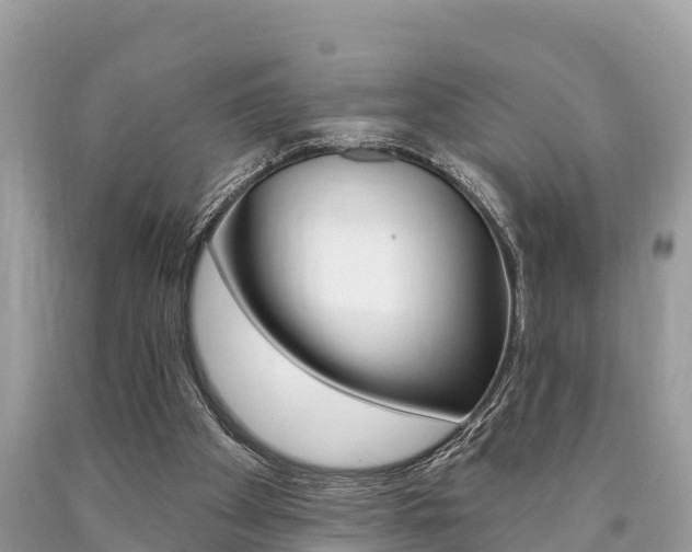 X0000090770105200707201122