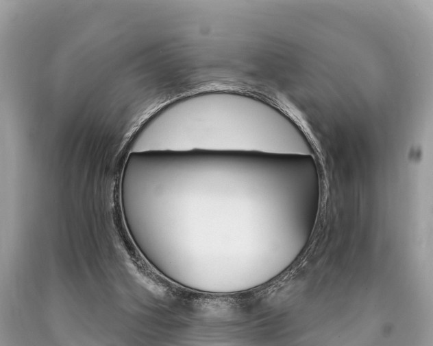 X0000090770106200707201122