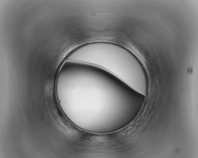 X0000090770107200707201122