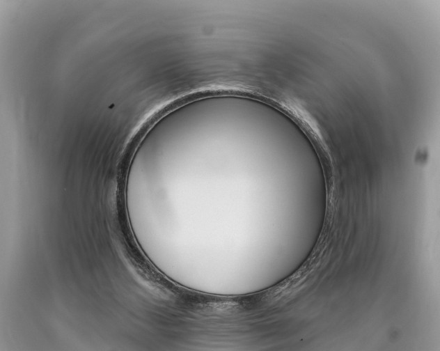 X0000090770108200707201122