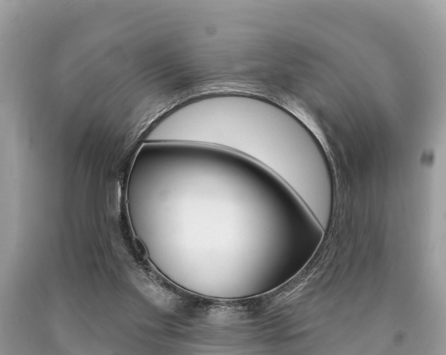 X0000090770109200707201122