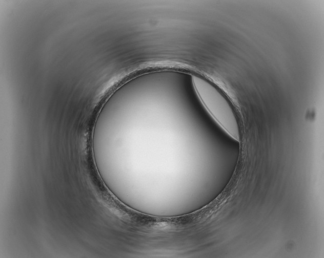 X0000090770111200707201122