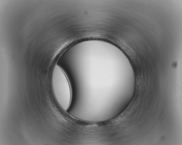 X0000090770112200707201122