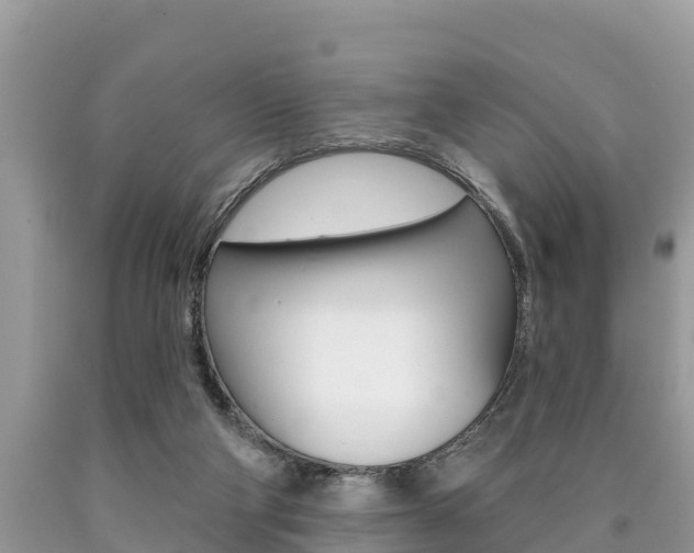X0000090770114200707201122