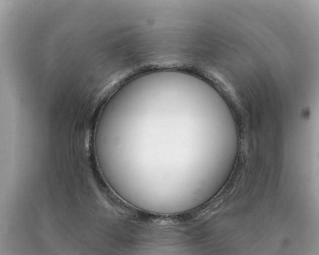 X0000090770115200707201122