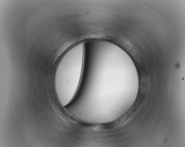 X0000090770116200707201122