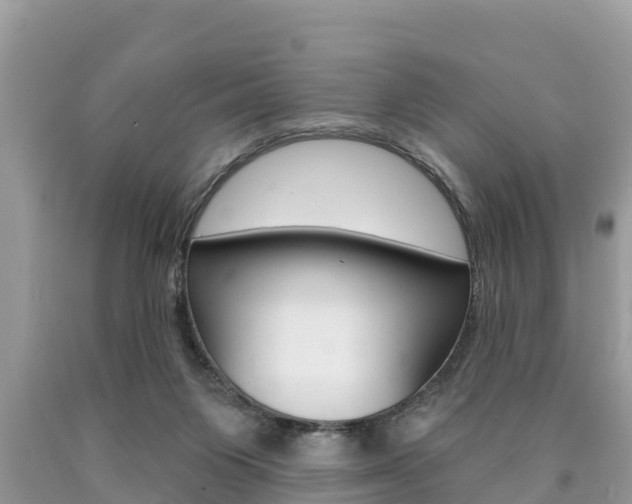 X0000090770119200707201122