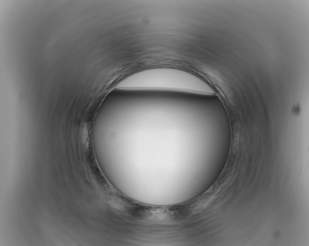 X0000090770121200707201122