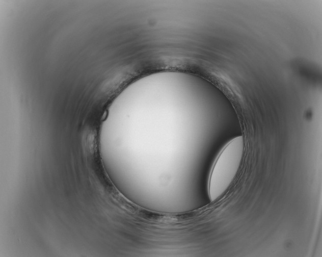 X0000090770123200707201122