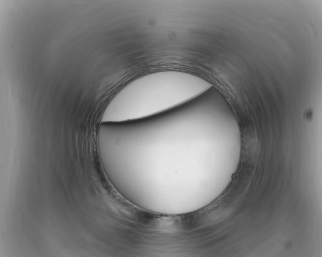 X0000090770126200707201122