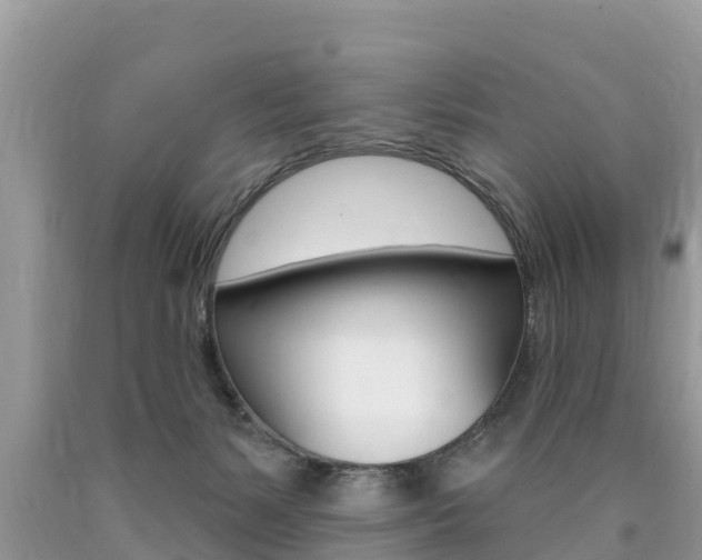 X0000090770127200707201122