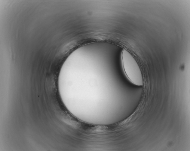 X0000090770128200707201122