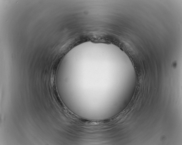 X0000090770129200707201122