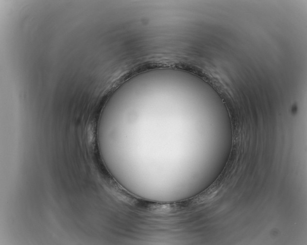 X0000090770131200707201122