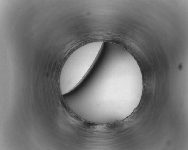 X0000090770132200707201122
