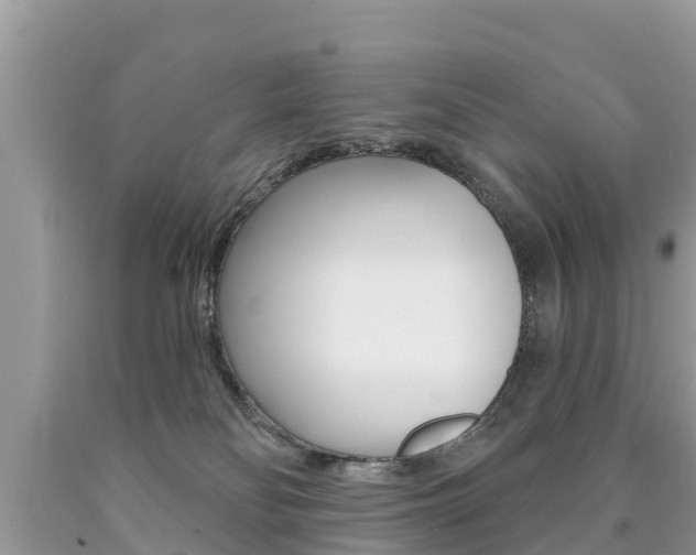 X0000090770134200707201122