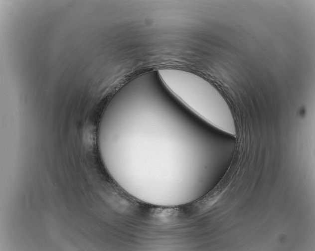 X0000090770135200707201122