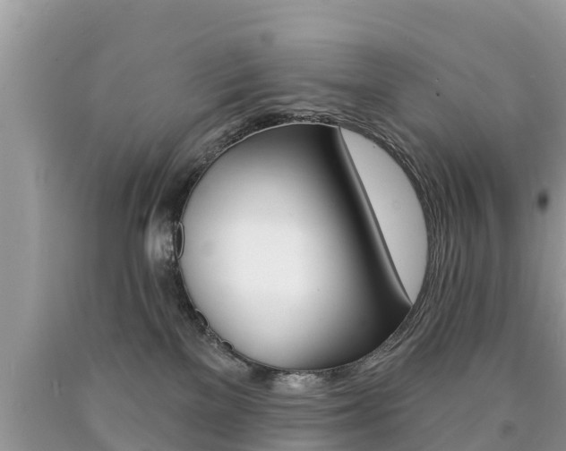 X0000090770137200707201122